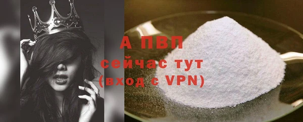 мяу мяу кристалл Богданович