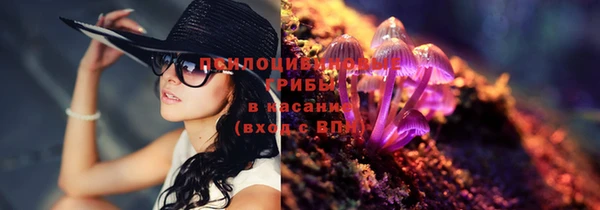мяу мяу кристалл Богданович