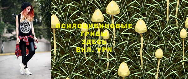 ешки Богородск