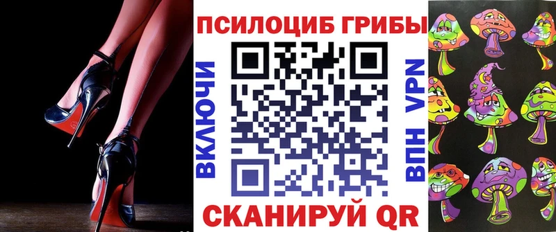 Купить закладки  Кремёнки  Галлюциногенные грибы GOLDEN TEACHER 